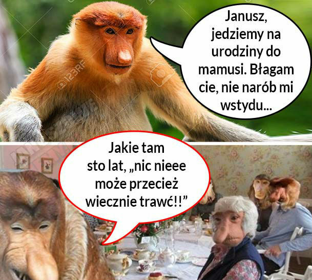 Urodziny teściowej  