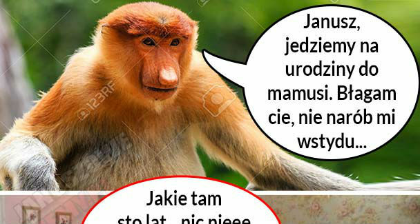 Urodziny teściowej  