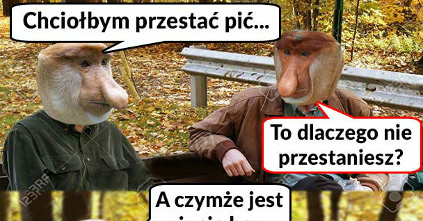Marzenie Janusza 