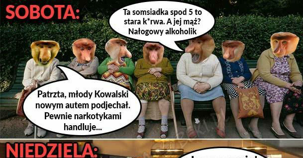Grażynki w akcji 
