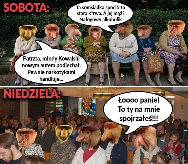 Grażynki w akcji 