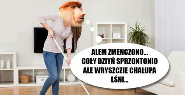 Jak rozwścieczyć Halynę w kilka sekund 