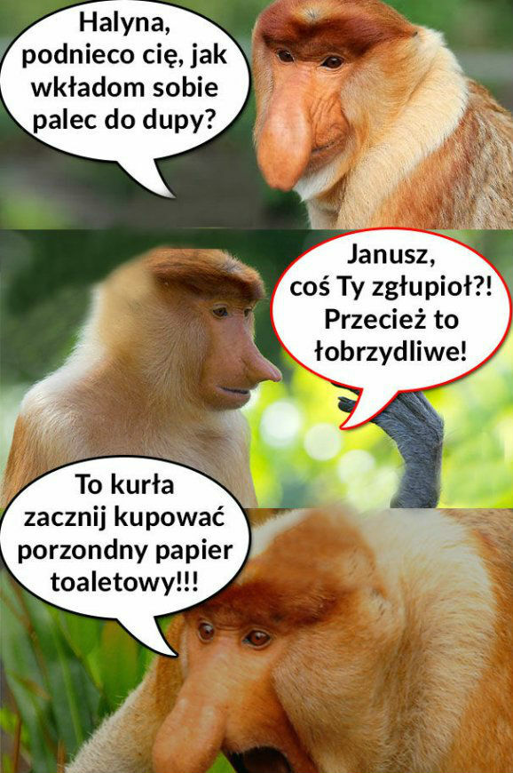 Janusz ma pytanie :D 