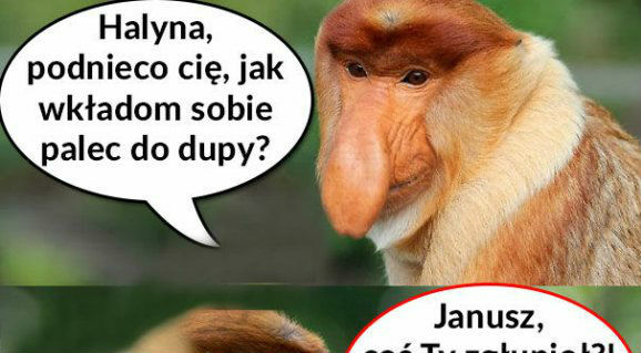 Janusz ma pytanie :D 