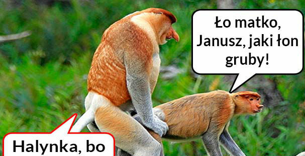 Nowa metoda Janusza :D