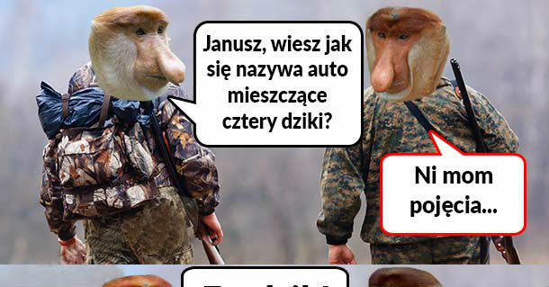 Suchar o dzikach