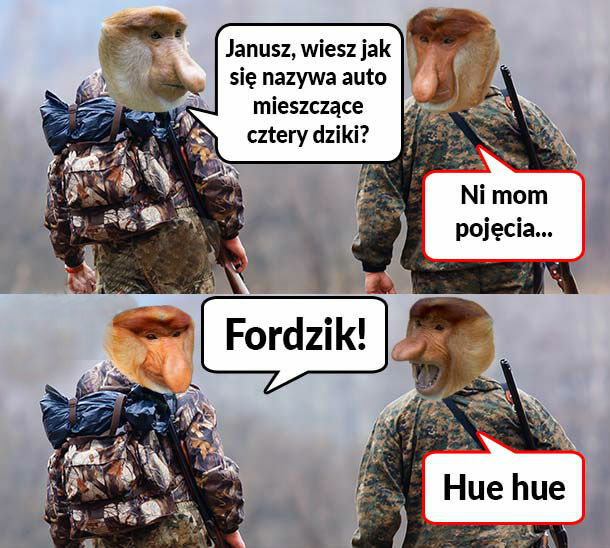 Suchar o dzikach