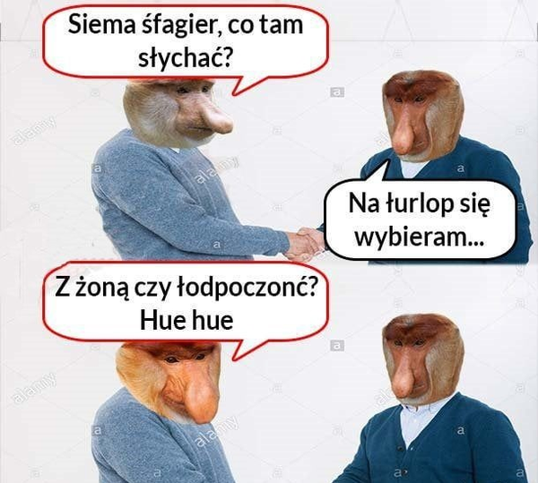 Kiedy szwagier jedzie na urlop 