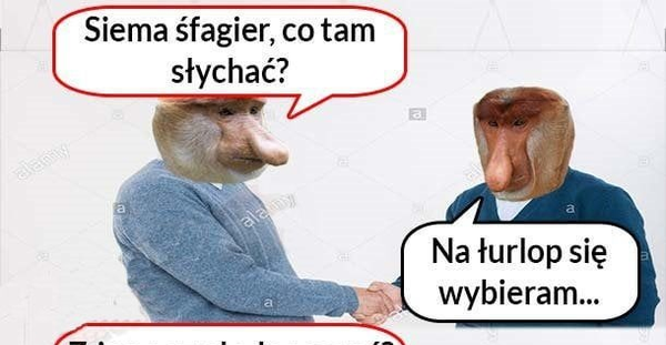 Kiedy szwagier jedzie na urlop 