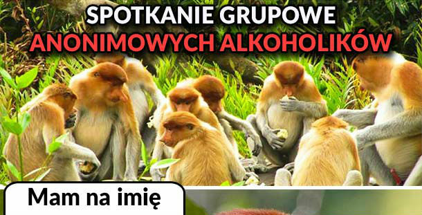 Janusz na spotkaniu AA :D 