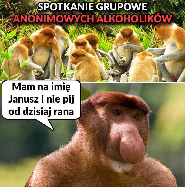 Janusz na spotkaniu AA :D 