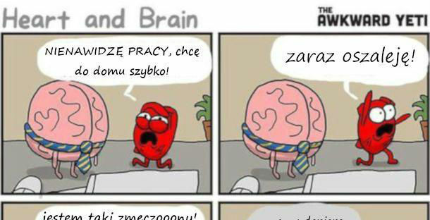 Serce i mózg 