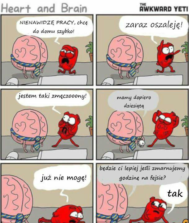 Serce i mózg 