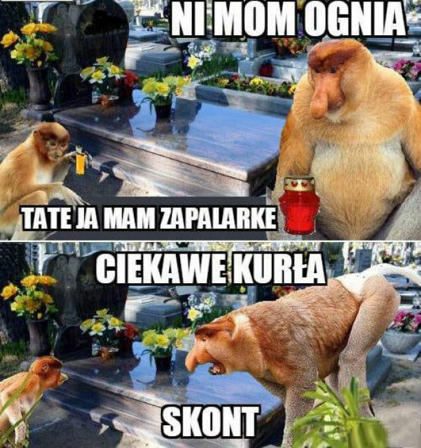 Tymczasem przy grobach :D 