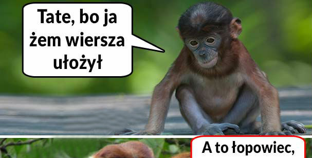 Wiersz Pioterka 