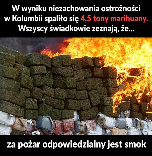 Wersja świadków 