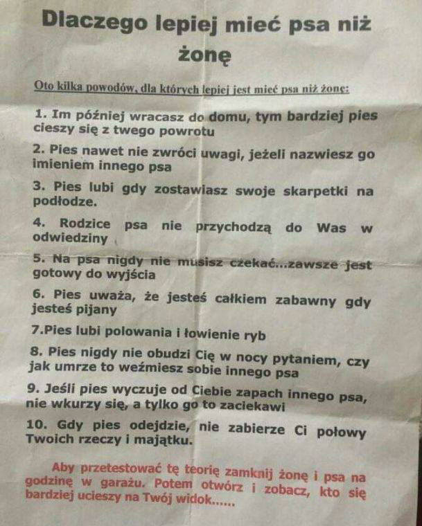 Dlaczego lepiej mieć psa niż żonę 