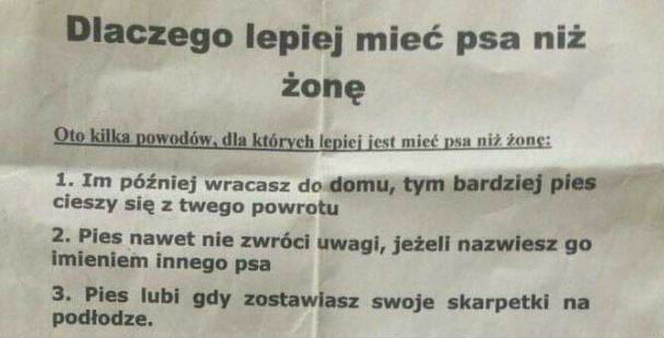 Dlaczego lepiej mieć psa niż żonę 