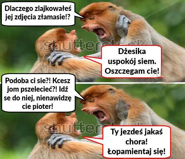Pioter, Ty złamasie :D 