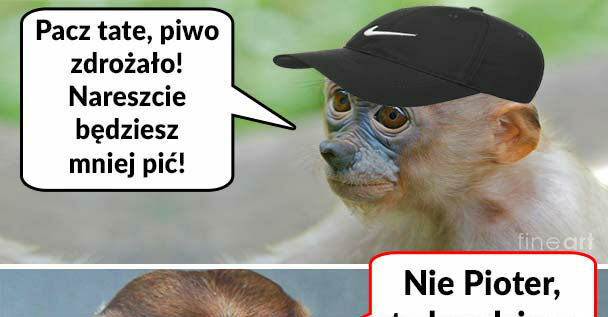 Kiedy piwo zdrożeje 