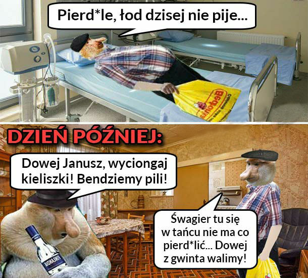 Kiedy Janusz przesadzi z alkoholem