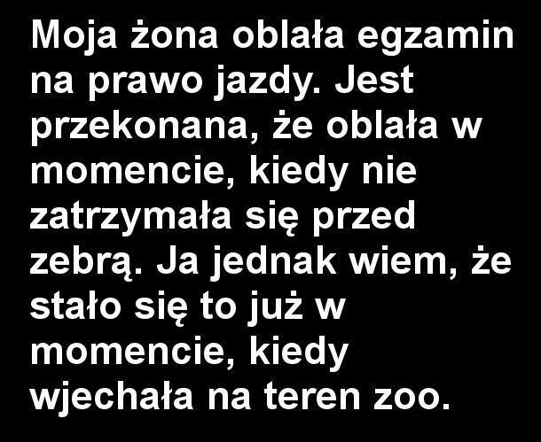 Egzamin na prawo jazdy 