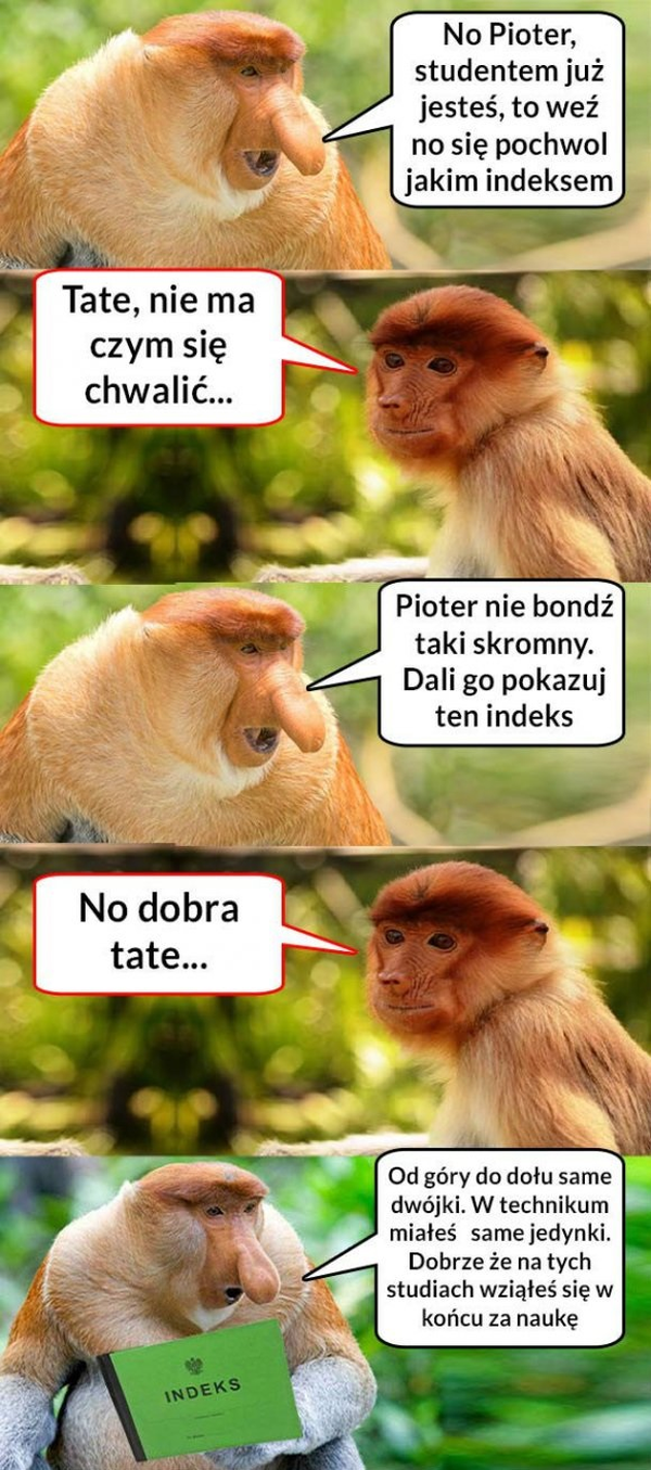 Pioter student 