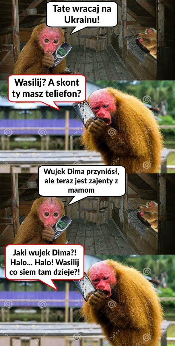 Tymczasem na Ukrainie 