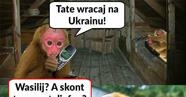 Tymczasem na Ukrainie 