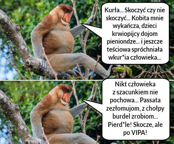Skoczyć czy nie skoczyć? 