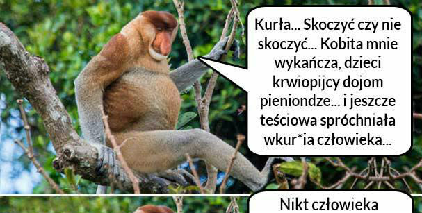 Skoczyć czy nie skoczyć? 