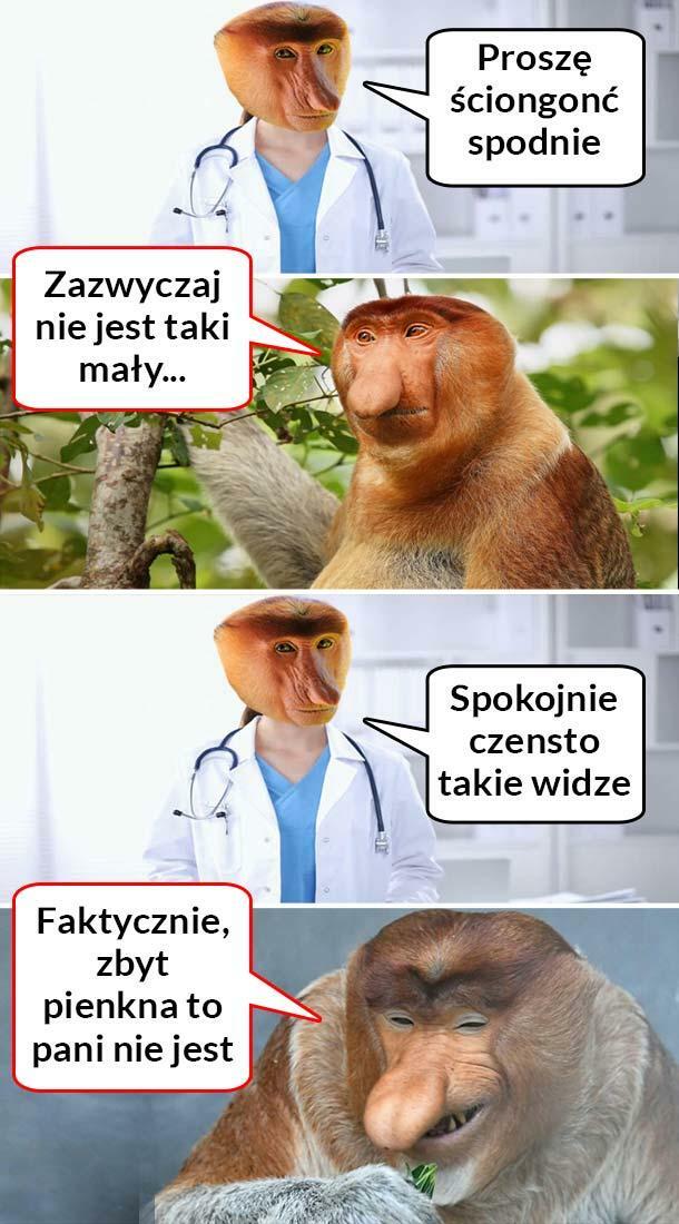 Janusz zaorał :D 