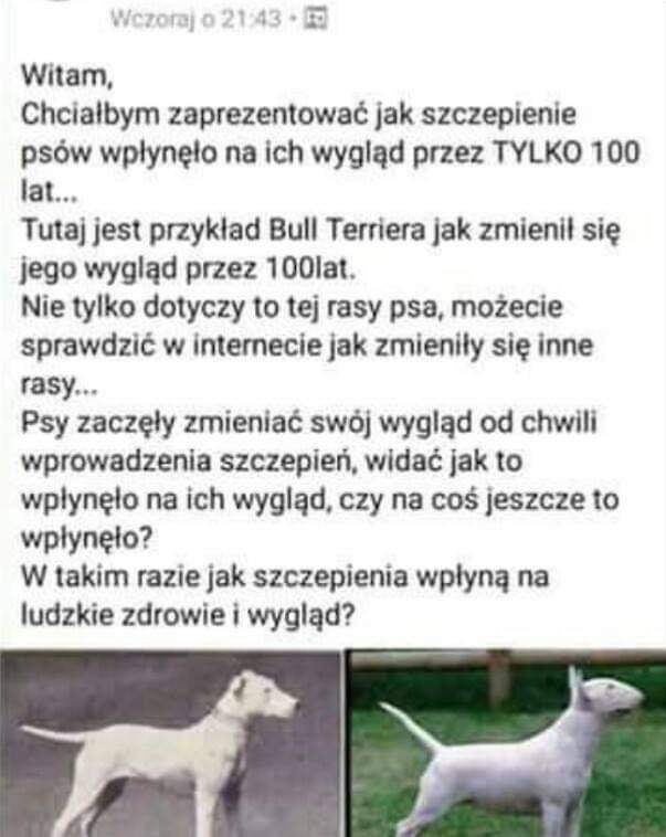 Co szczepionki robią z psami :D 