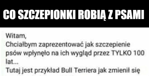 Co szczepionki robią z psami :D 