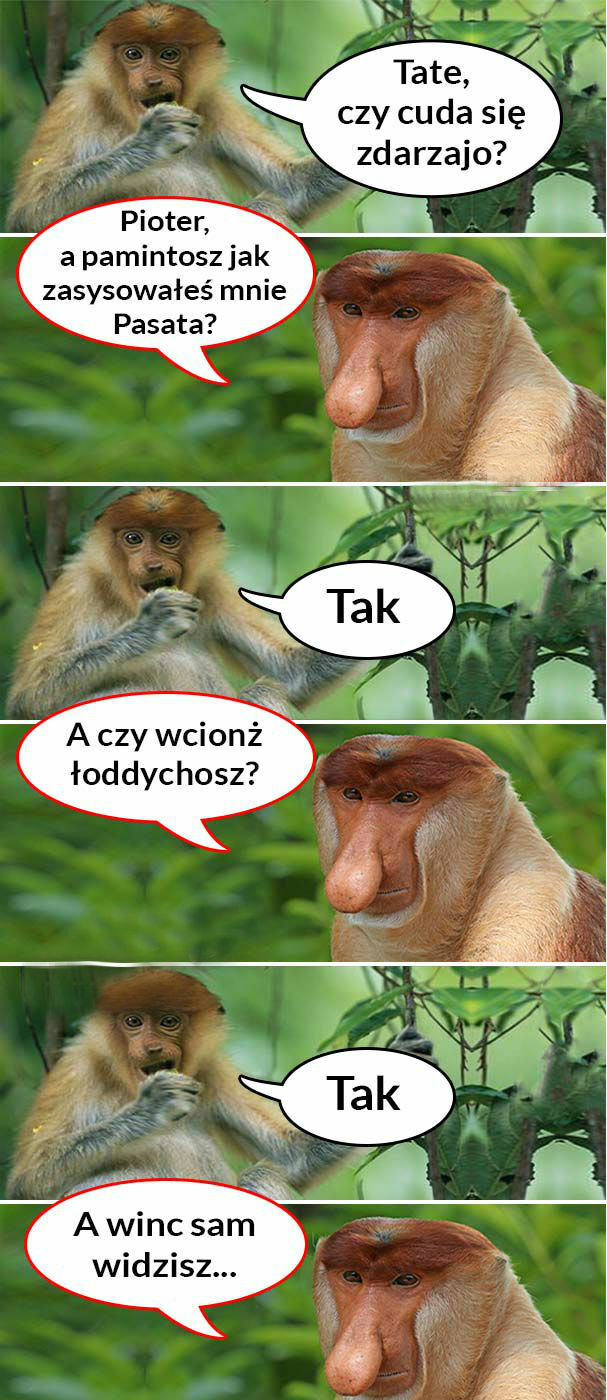 Czy cuda się zdarzają? 