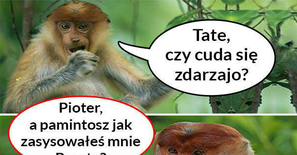 Czy cuda się zdarzają? 