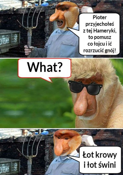 Kiedy Pioter wróci z Ameryki :D 
