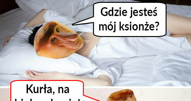Książę na białym koniu :D 