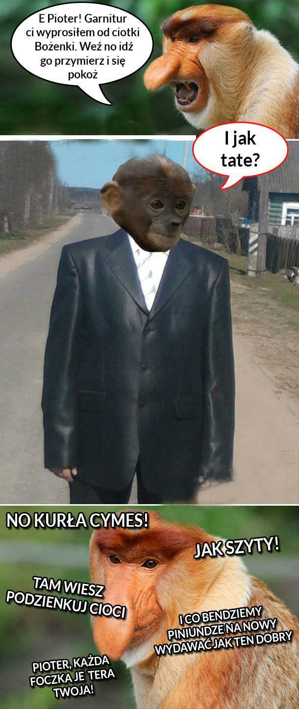 Garnitur dla Piotera  