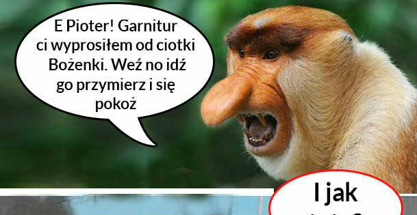 Garnitur dla Piotera  