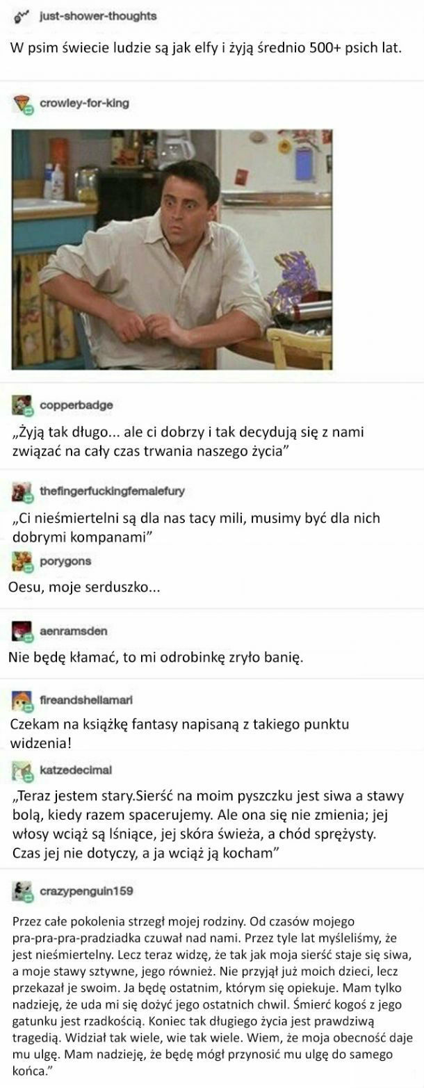 Tymczasem w świecie psów... 