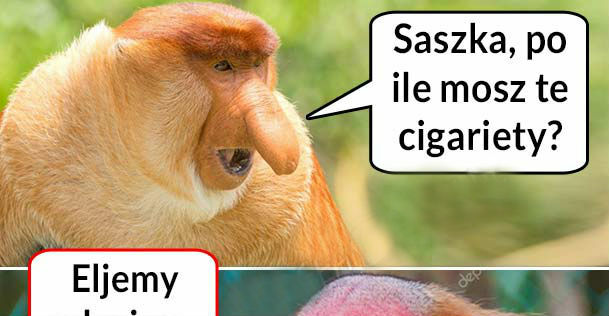 Kiedy Saszka ma papierosy na zbyciu 