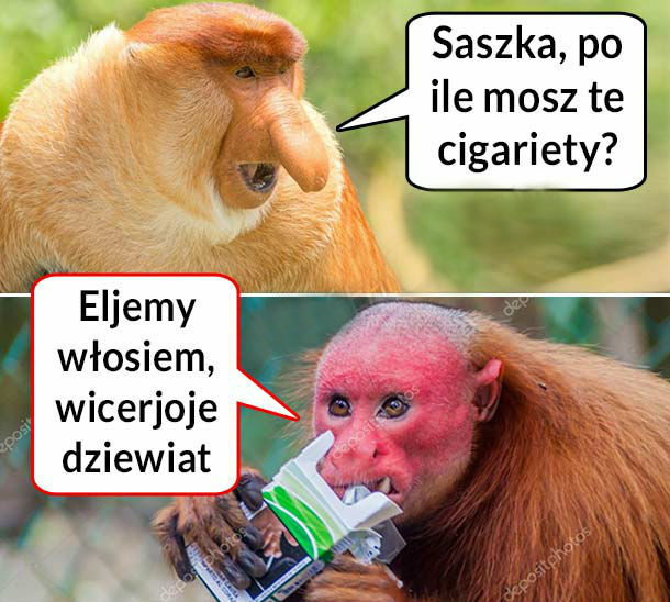 Kiedy Saszka ma papierosy na zbyciu 