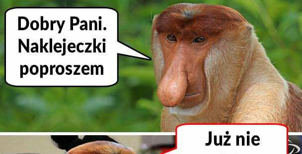 Koniec tego dobrego 