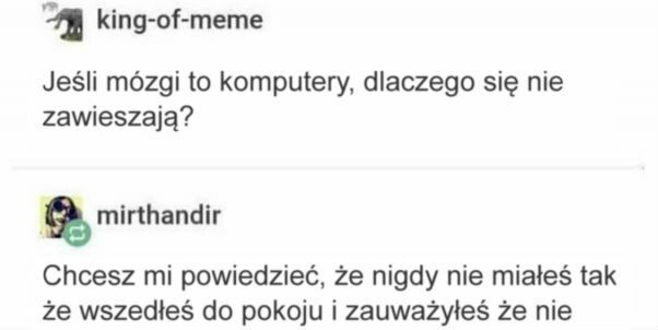 Mózgi to komputery 