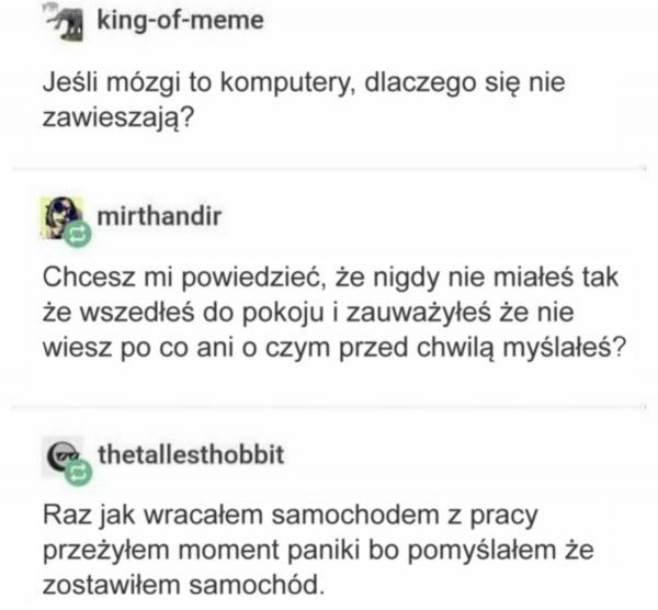 Mózgi to komputery 