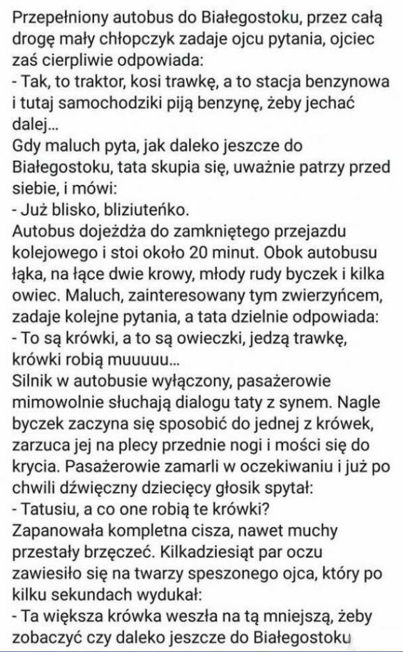 Przepełniony autobus 