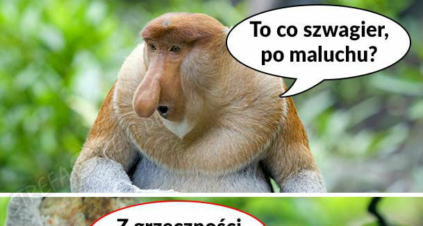 Po maluchu? :D 