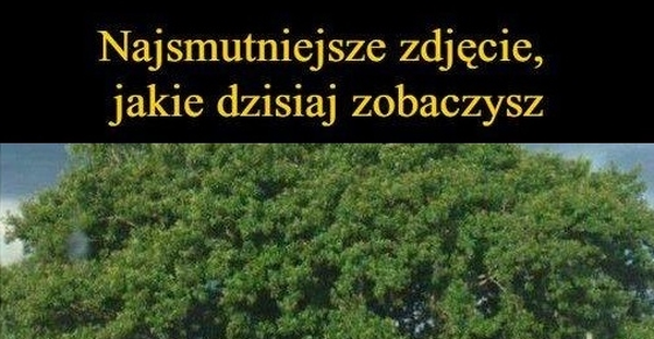 Smutny widok 