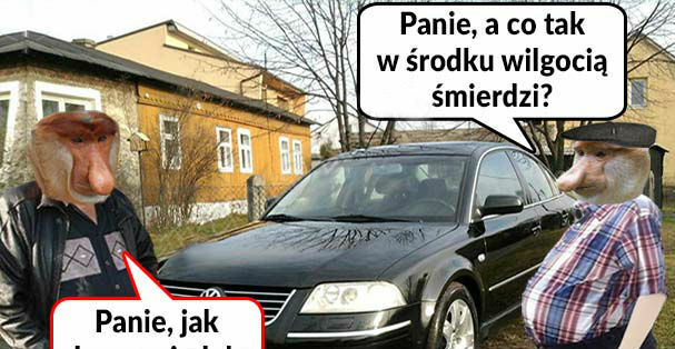 Passat król szos 